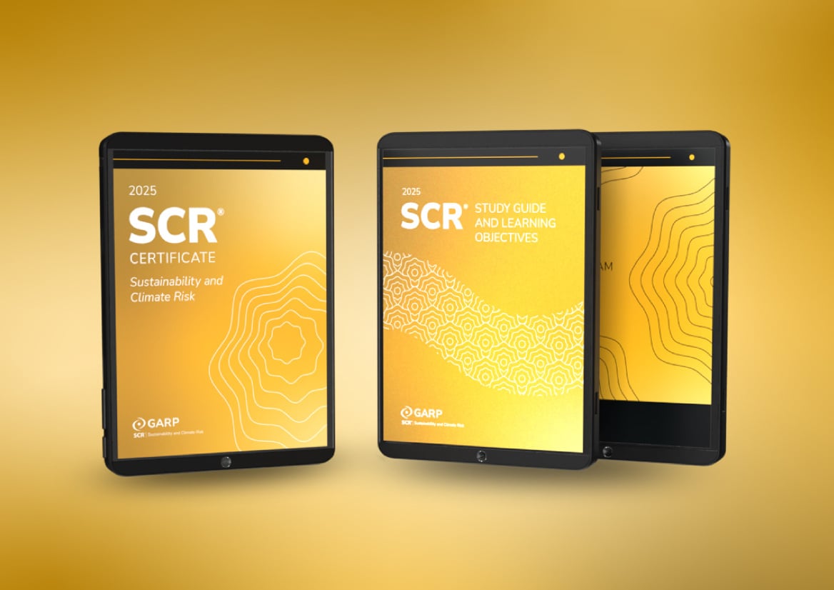 OverviewTab_SCR25